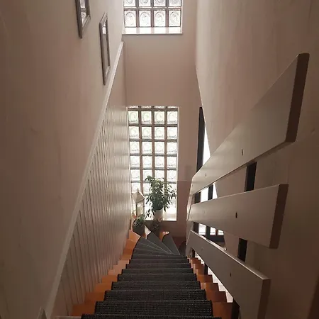 Apartment Flat In Near The Area, Cleaning Included *