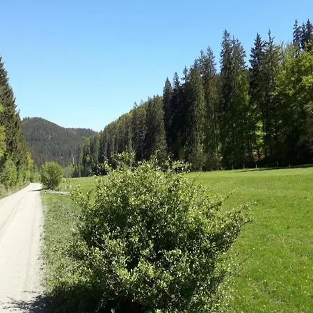 Apartment Flat In Near The Area, Cleaning Included Medebach